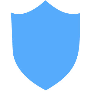 shield icon